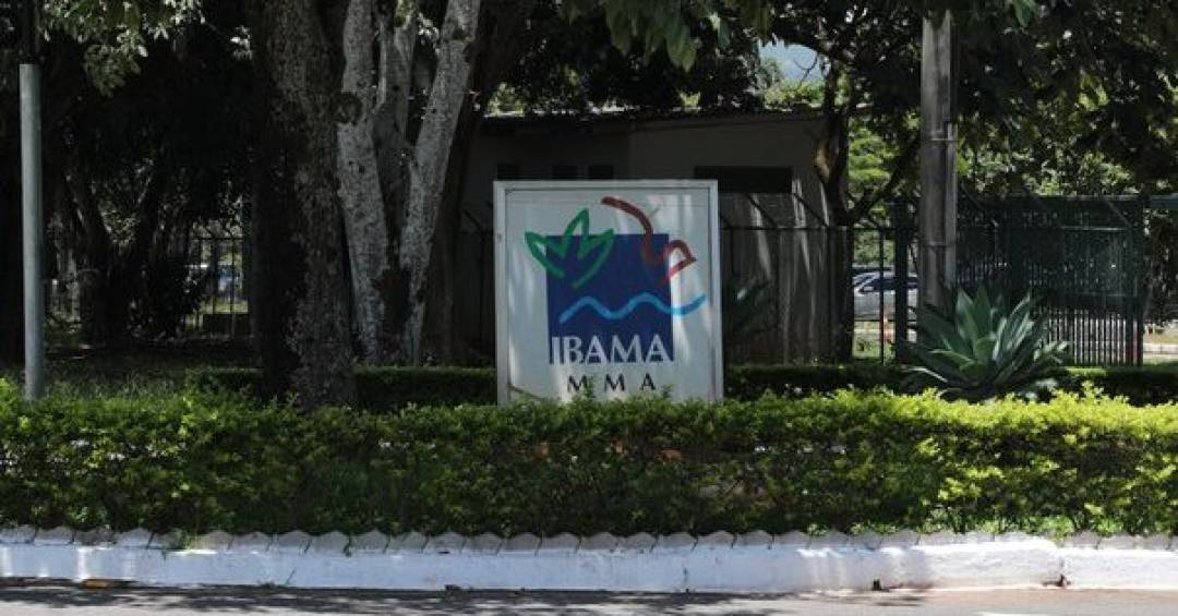 Ibama: Sintoma de Falta de Planejamento no Estado Brasileiro