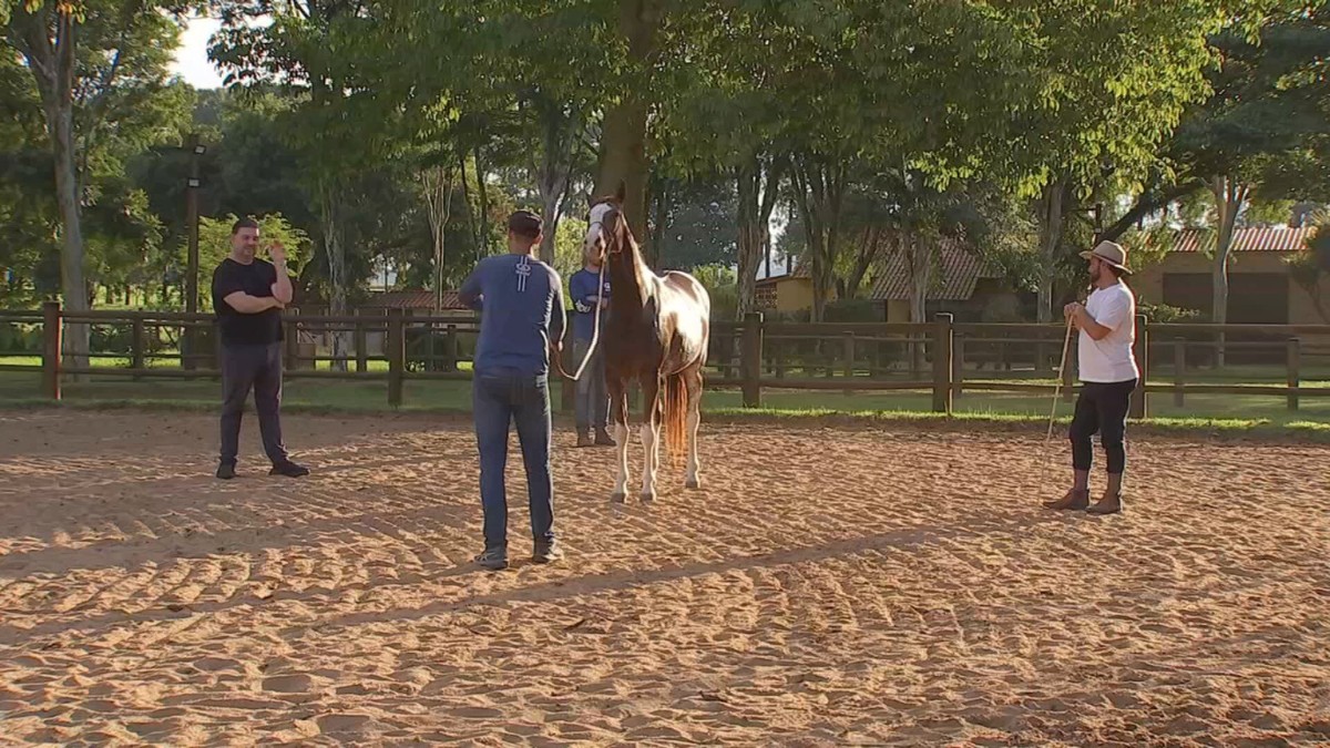 A Expo Agro de Itapetininga: 50 Anos de Tradição, Negócios e Paixão pela Pecuária