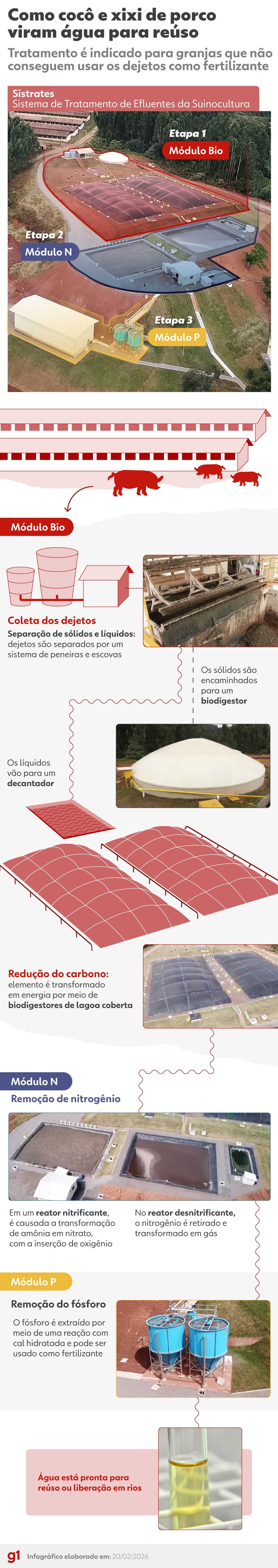 Água Potável de Porcos: A Revolução no Tratamento de Dejetos
