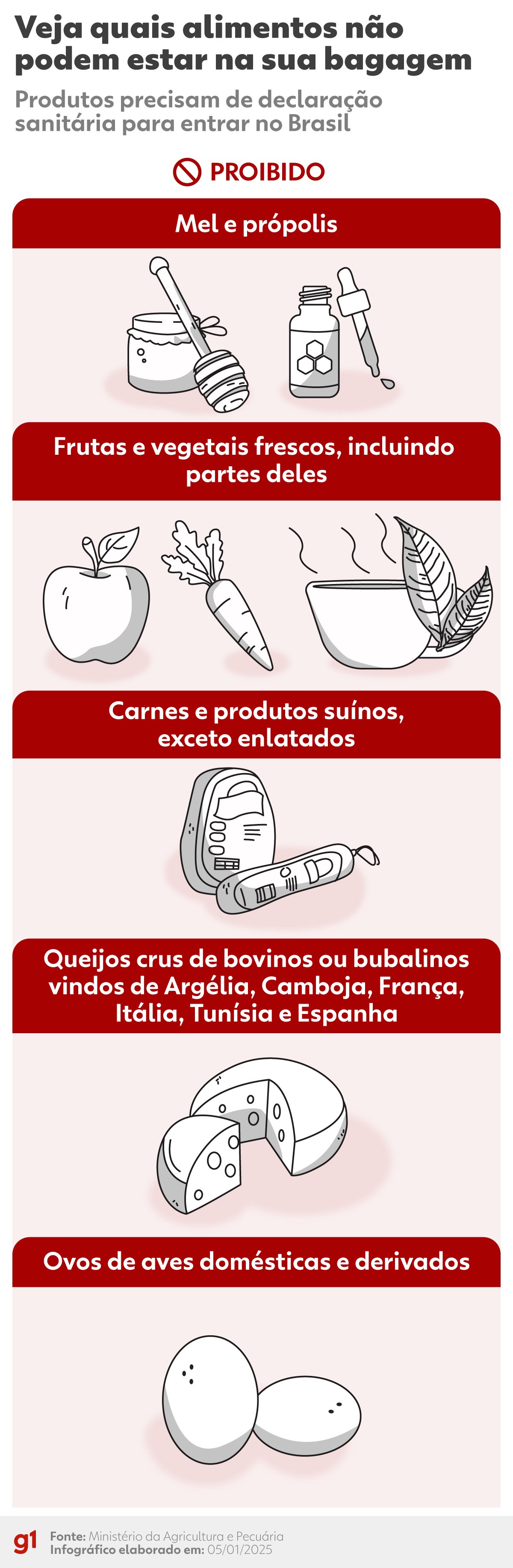 Alimentos proibidos na bagagem: veja quando é preciso pedir autorização