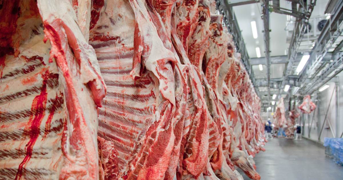 Apesar de tarifaço, exportações de carne bovina do Brasil batem recorde