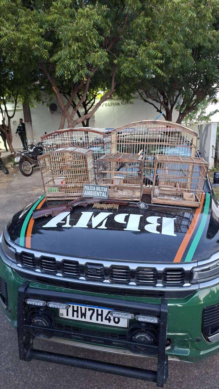 Apreensão de Armas e Aves Silvestres em Ipaporanga: BPMA Conduz Homem por Crimes Ambientais