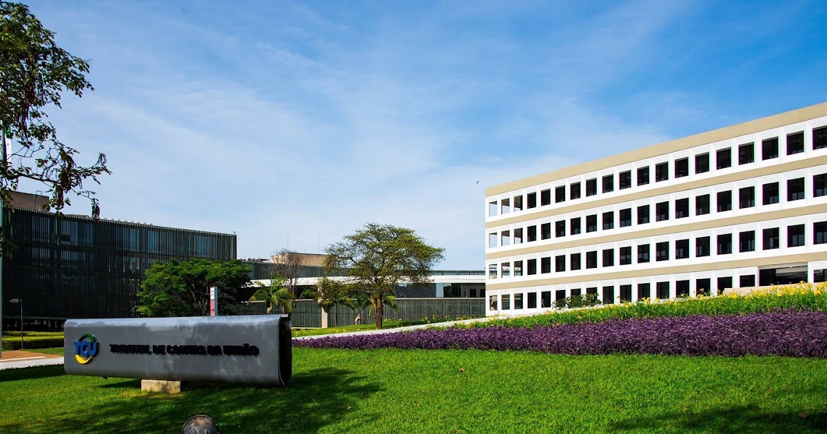 Aprenda como fazer contratos públicos sem erros com o TCU - Curso Gratuito
