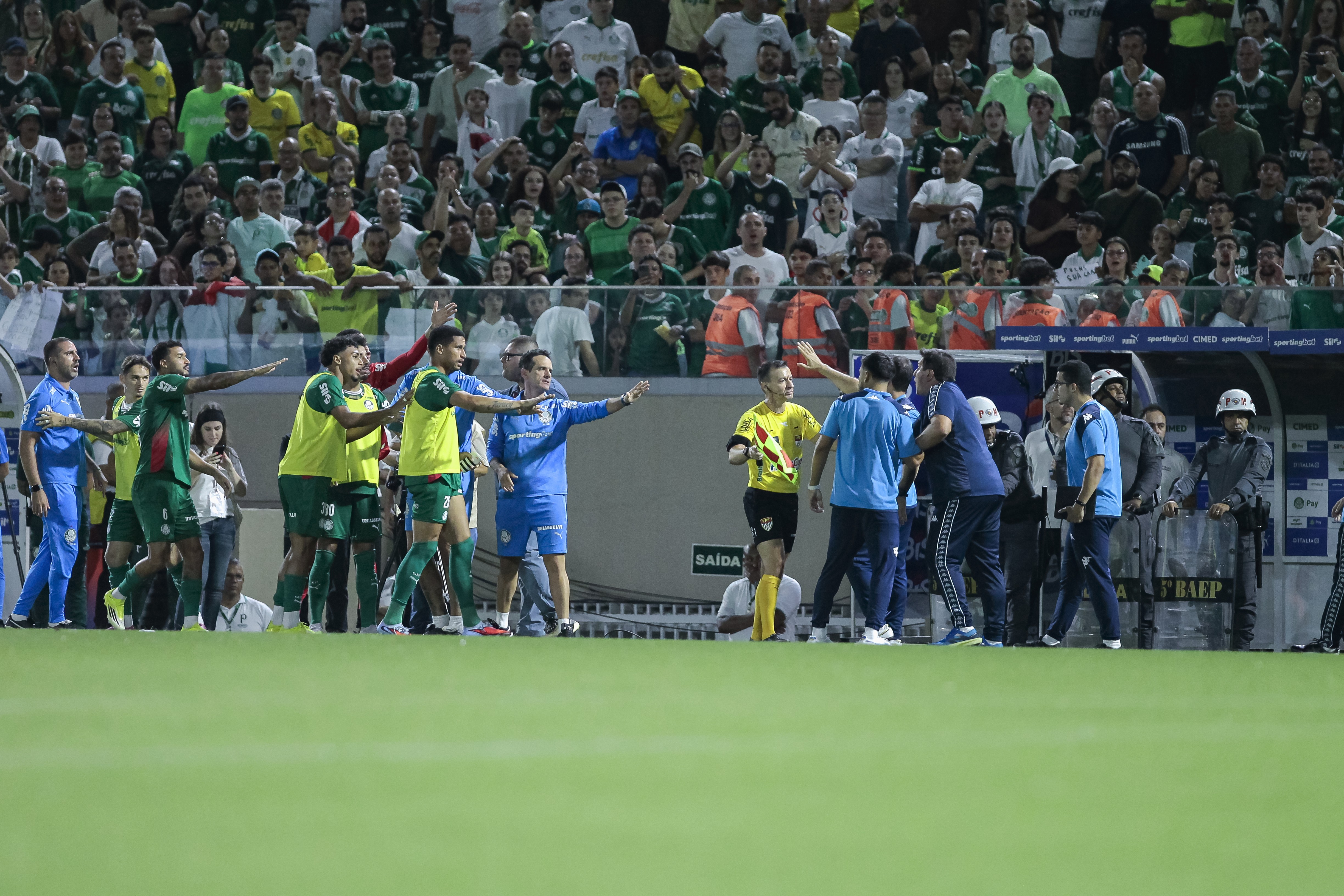 Auxiliar do Palmeiras será julgado após confusão em jogo do Paulista e Abel Ferreira também entra no radar do TJD-SP