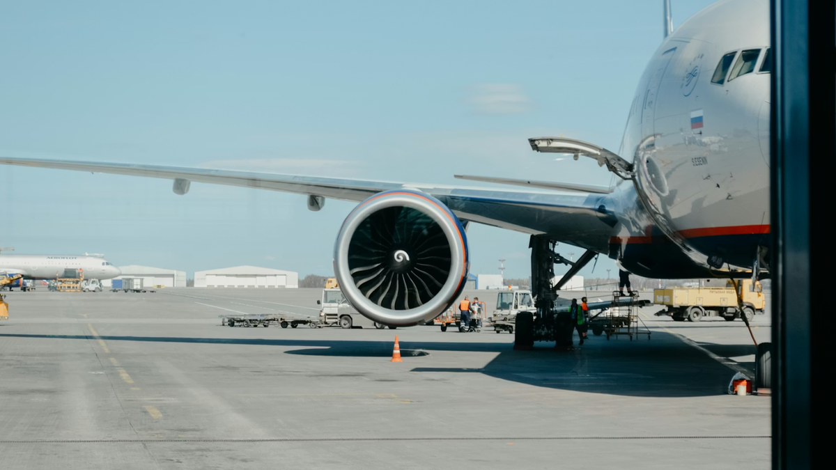 Ave de Risco: Por que as Colisões entre Aves e Aviões são um Perigo para a Aviação?