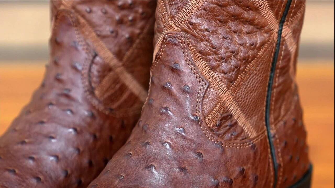 Avestruz: Ovo de R$ 150, Couro de R$ 1.800 e Produtos Lucrativos no Brasil