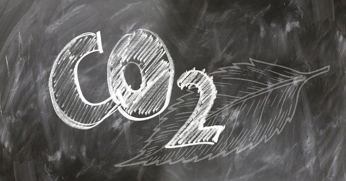 B3 divulga carteira de 2026 do ICO2 com avanço na eficiência de carbono das empresas
