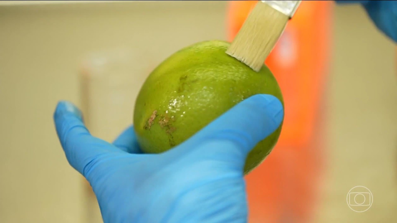 Biodetergente Brasil: Revolucionando a Prolongação da Vida Útil de Frutas e Legumes