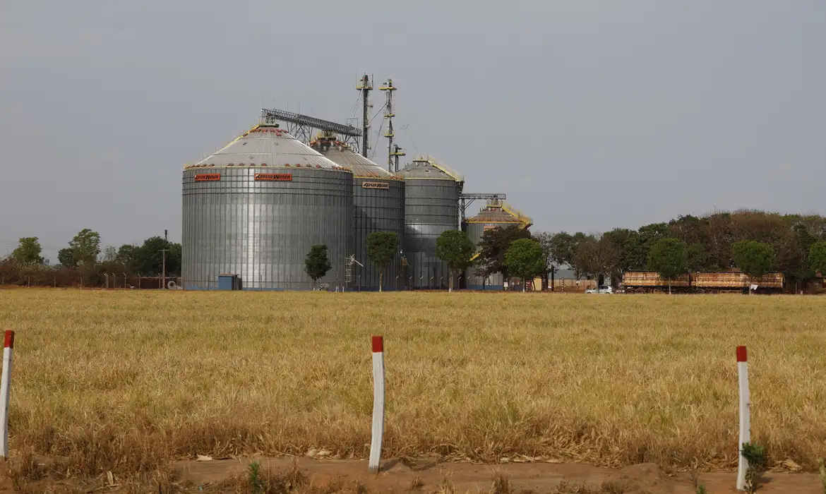 Brasil: 6ª Economia Mais Forte do G20, Crescimento de 2,3% em 2025