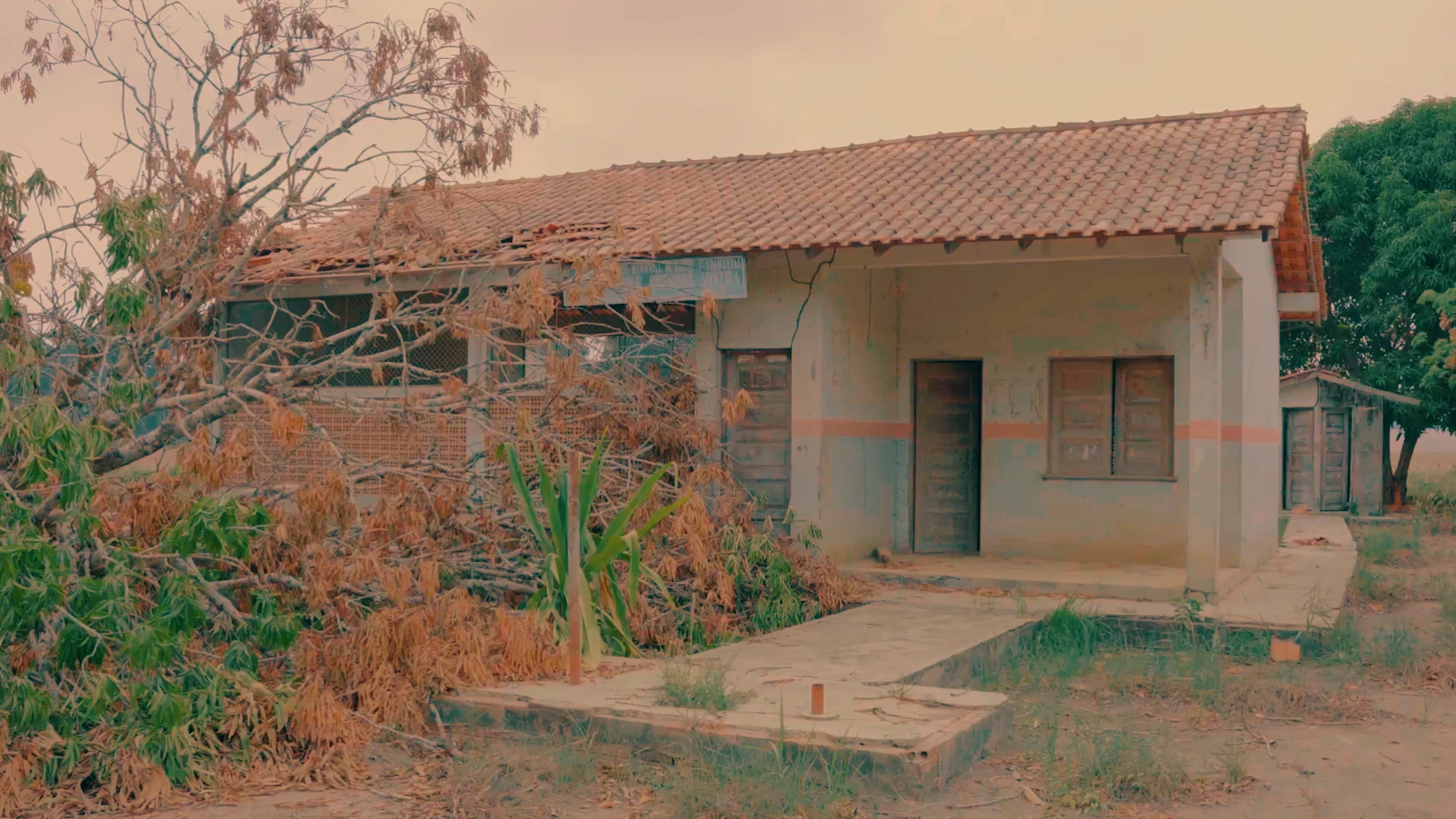 Brasil Perde 111 Mil Escolas do Campo em 24 Anos: Abandono Ameaça Vontade de Estudar