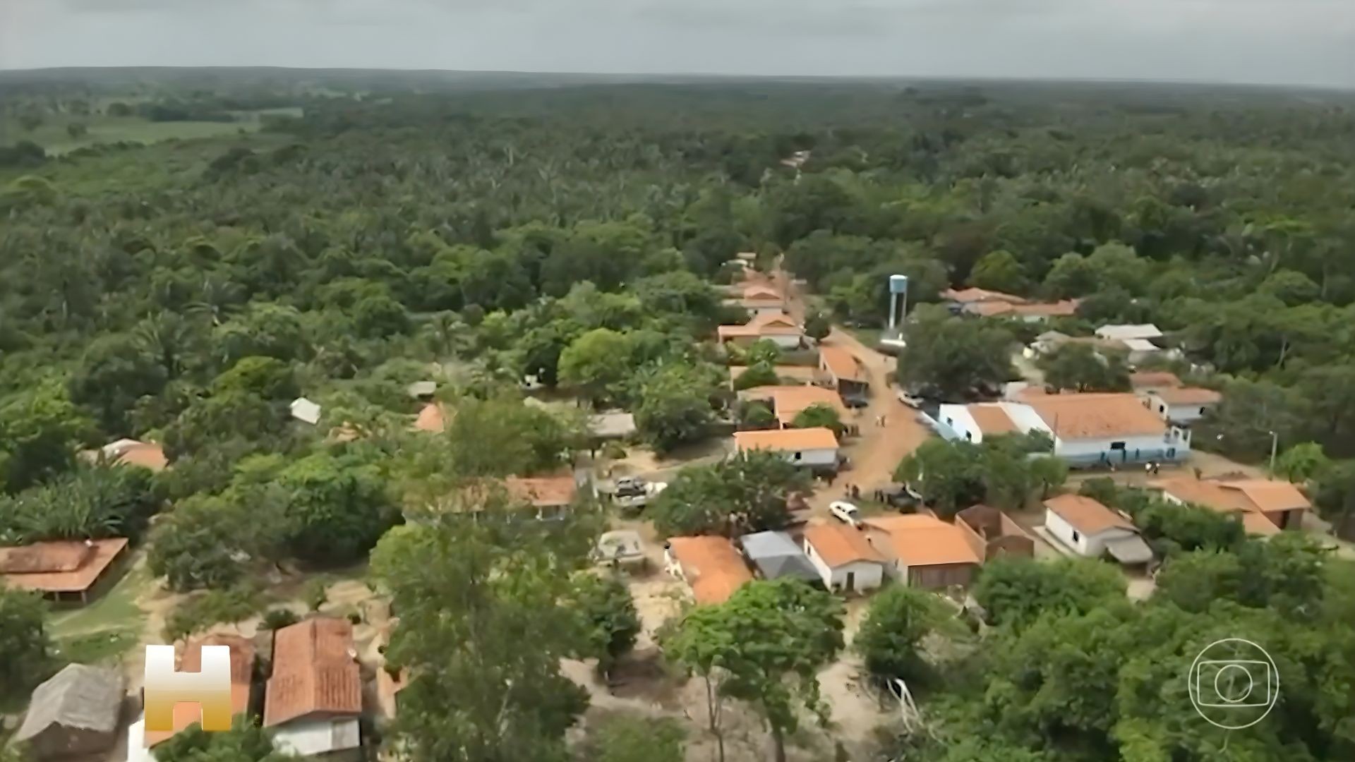 Buscas em Bacabal: como é a área de mata onde crianças sumiram enquanto brincavam