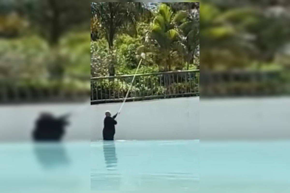 Caldas Novas: fezes em piscina de ondas deixa banhistas revoltados. Vídeo