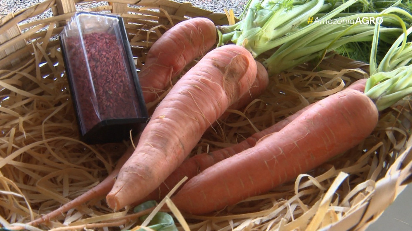 Calor Extremo: Ameaça aos Sistemas Alimentares no Mundo