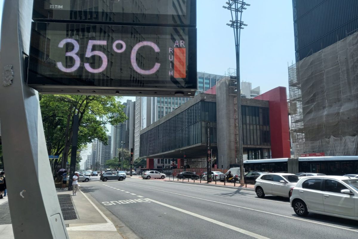 Calor intenso e baixa umidade marcam o domingo em são paulo