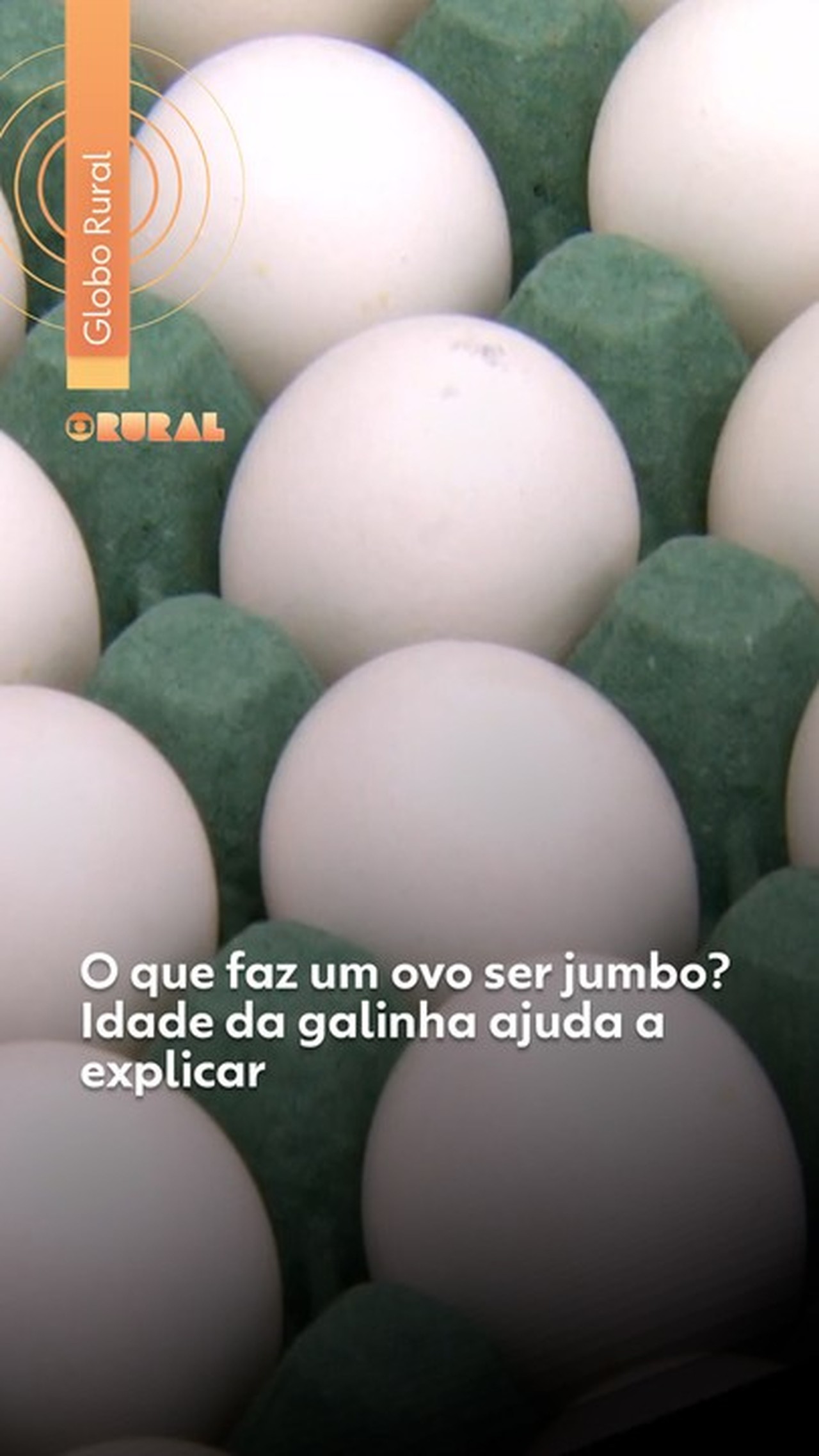 Cará-Do-Ar: Descubra os Segredos e Dicas de Cultivo