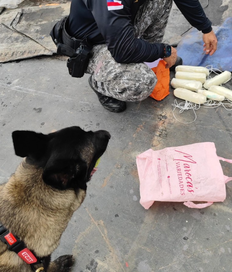 Carga com cocaína é encontrada por cão em embarcação no interior do Amazonas