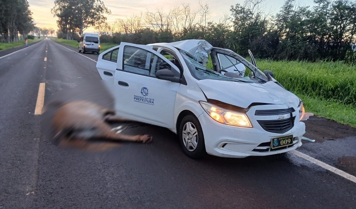 Carro da Prefeitura de Mineiros do Tietê atropela cavalo na SP-304 em Jaú; uma pessoa fica
