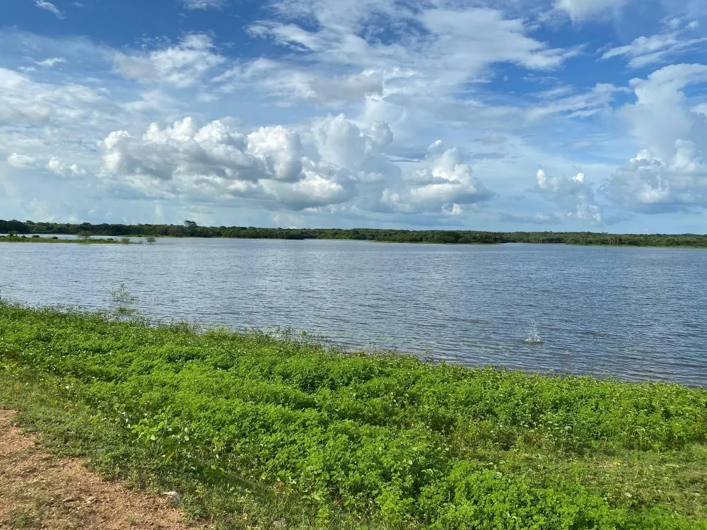 Chuvas em Santa Quitéria: Volumes Agradam Setor Agrícola no Mês de Março