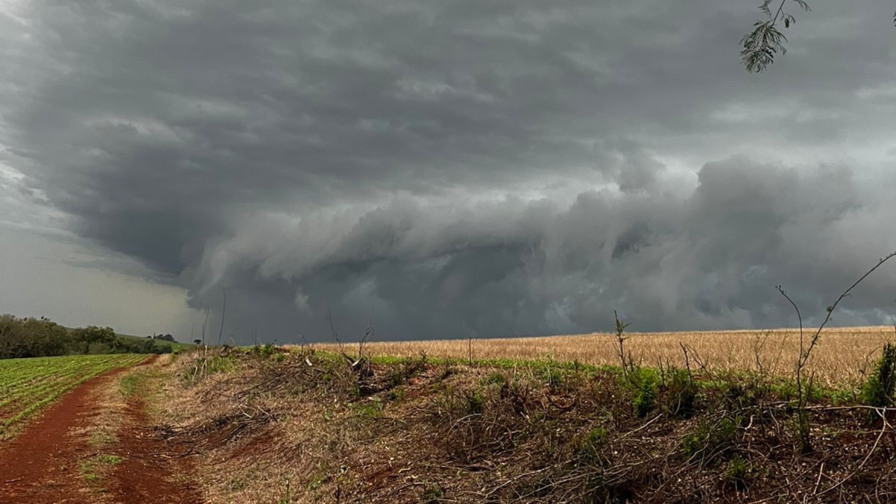 Ciclone vai trazer chuva ao Paraná, e estado recebe alertas de tempestade; veja previsão d