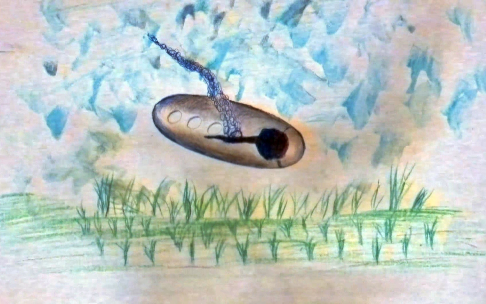 Cilíndrica, com fumaça e cheiro de amônia: como testemunhas do caso ET de Varginha descrev