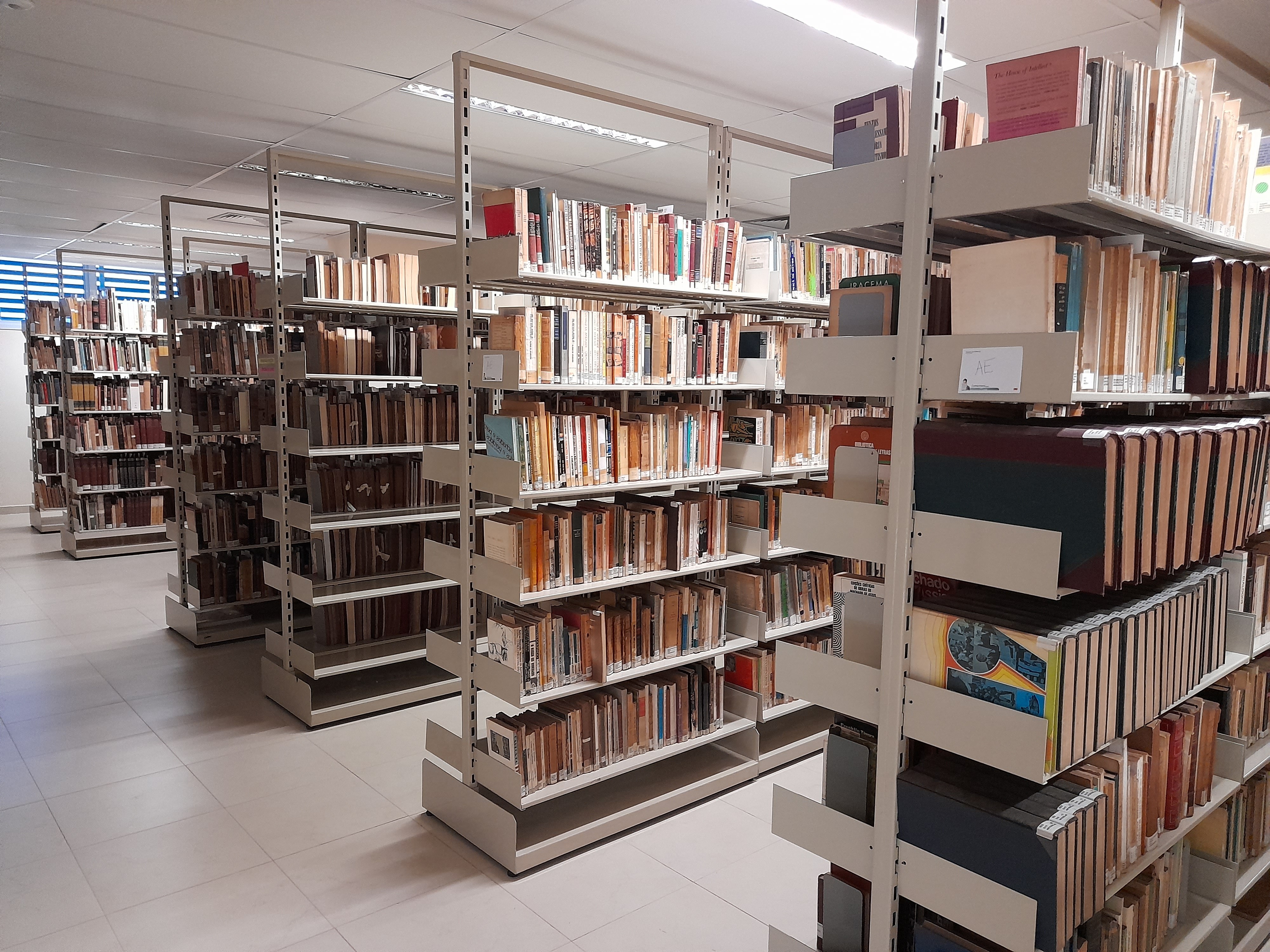 Com 10,3 mil obras extraviadas, bibliotecas da Unicamp têm livro atrasado há 23 anos e lei