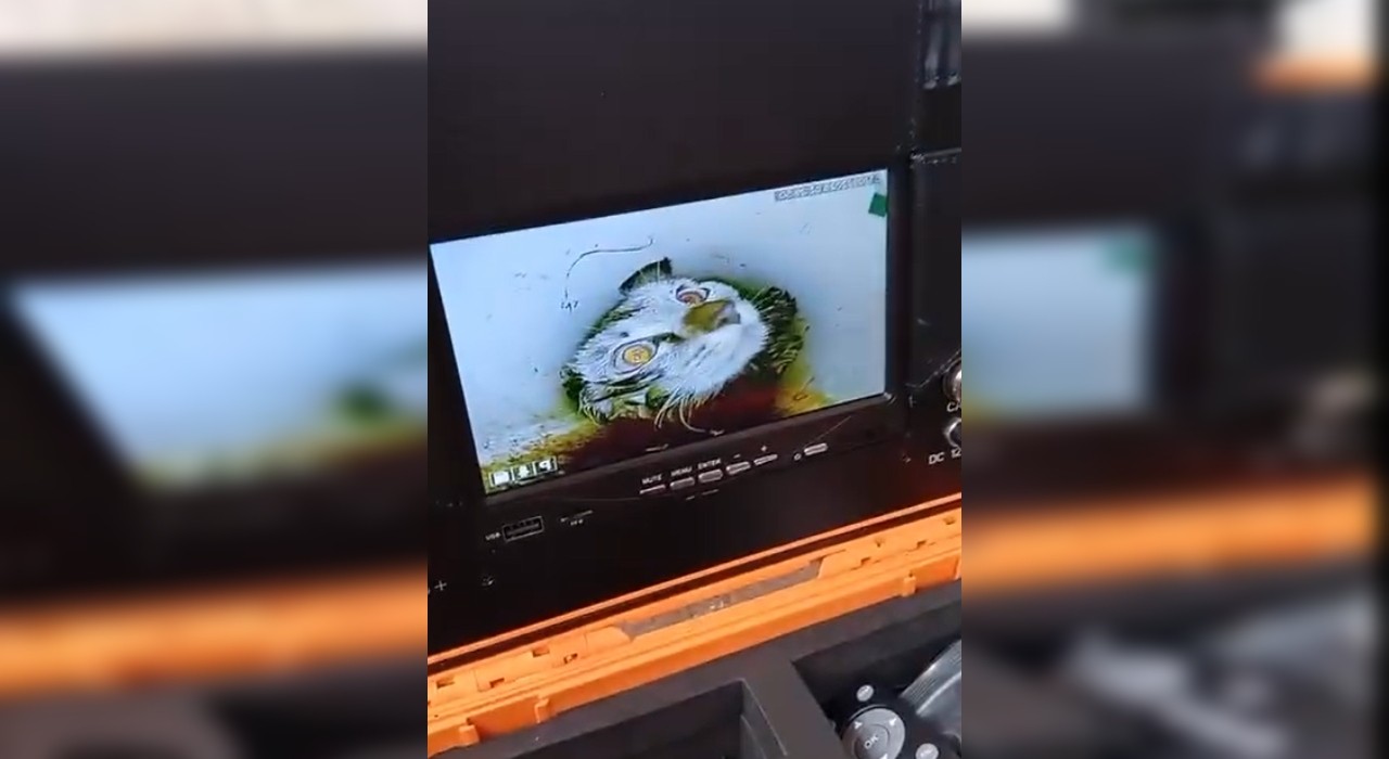 Com auxílio de câmera endoscópica, bombeiros resgatam gata após 40 horas presa em encaname