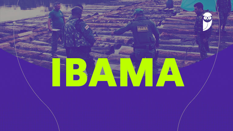 Concurso IBAMA Suspensa: Saiba o que Muda para os Aprovados