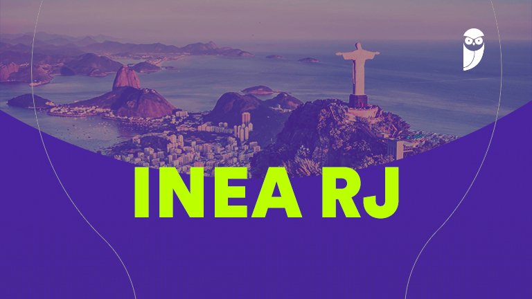 Concurso Inea RJ Autorizado: 150 Vagas para Profissionais!
