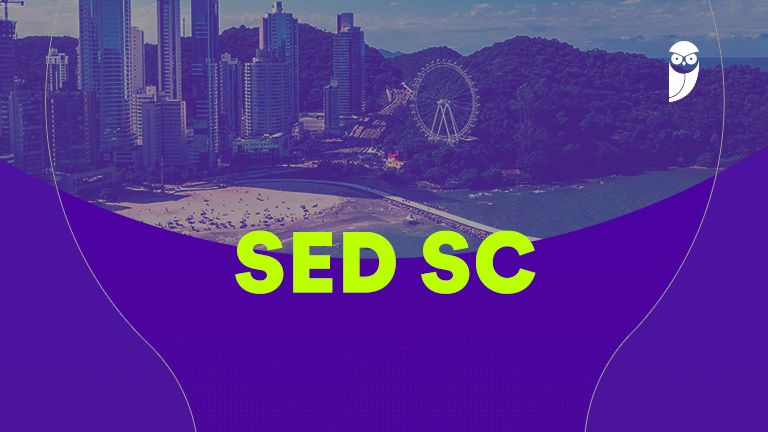 Conquiste sua vaga na SED SC: 10 vagas de nível superior por concurso!