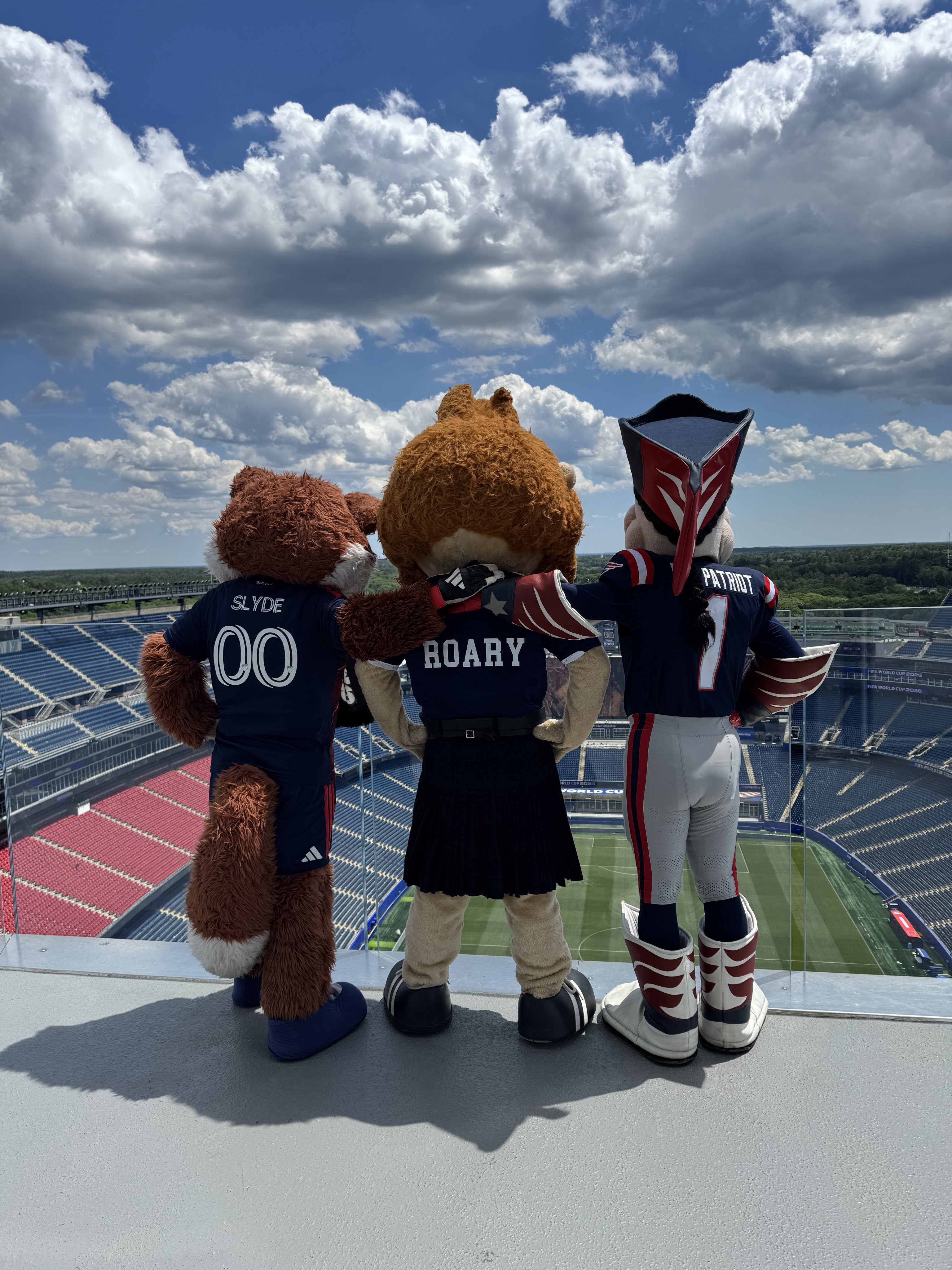 Copa do Mundo: Líder do Grupo, Escócia se Diversiona com Encontro de Mascotes