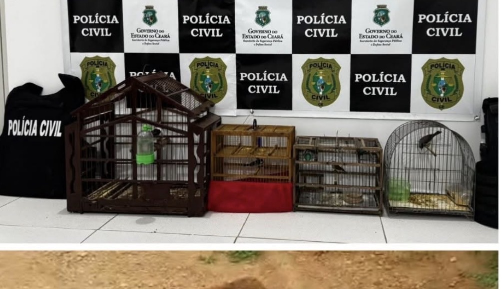 Criminoso de Crimes Ambientais é Preso em Quiterianópolis: Operação Kairós