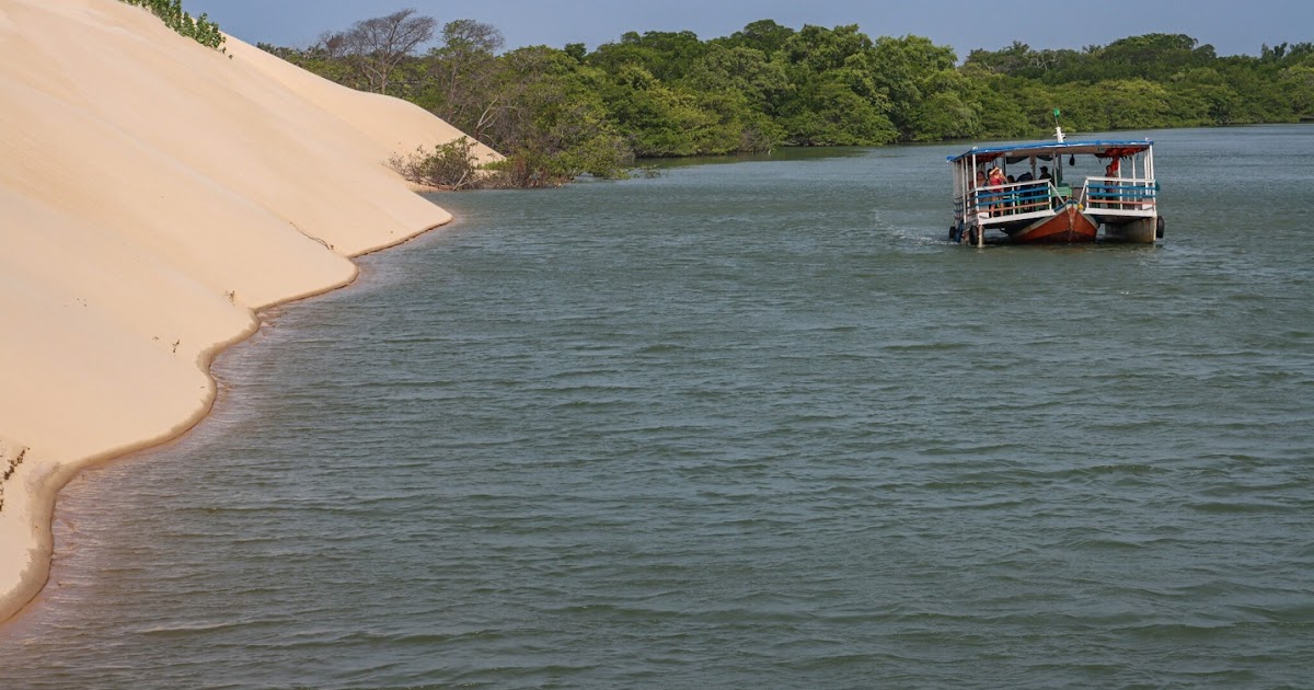 🌴 Cursos de Turismo Gratuitos: UEMA Libera Oportunidades para Você!