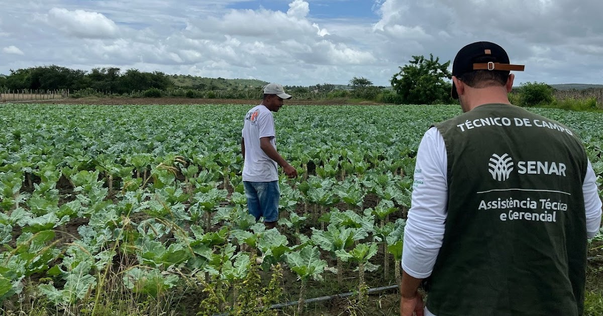 💼 Cursos Técnicos Gratuitos no Agro: Inscrições Abertas para Impulsionar Renda Rural
