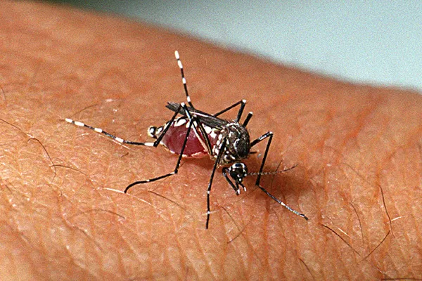 Dengue no Ceará: Hidrolândia Registra 94 Casos Confirmados e Lidera Incidência na Região Norte
