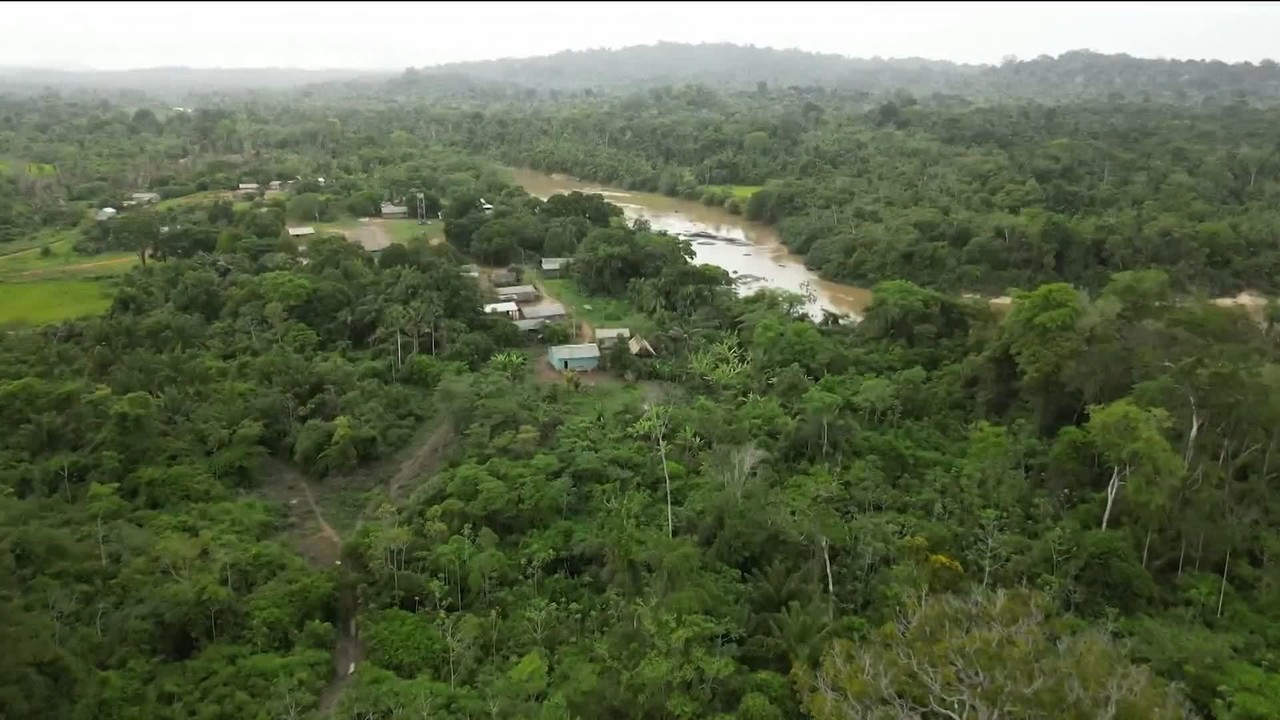 Desmatamento diminui no Cerrado e na Amazônia em 2025, diz Inpe