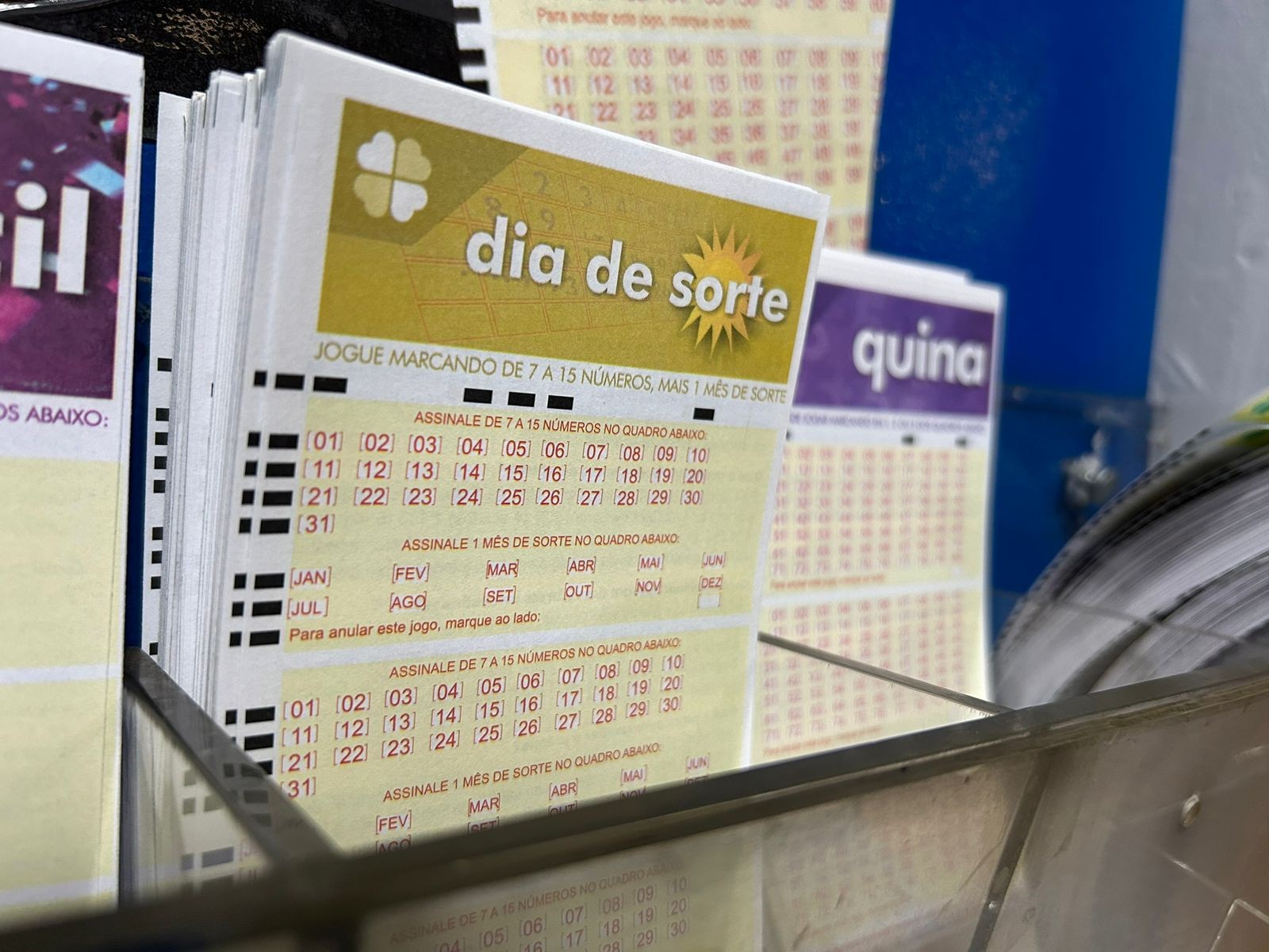 Dia de Sorte: Confira os Números Sorteados do Concurso 1224