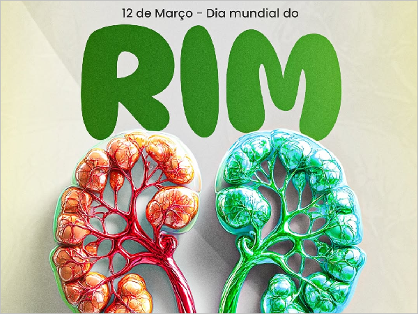 Dia Mundial do Rim: Como Proteger Sua Saúde Renal
