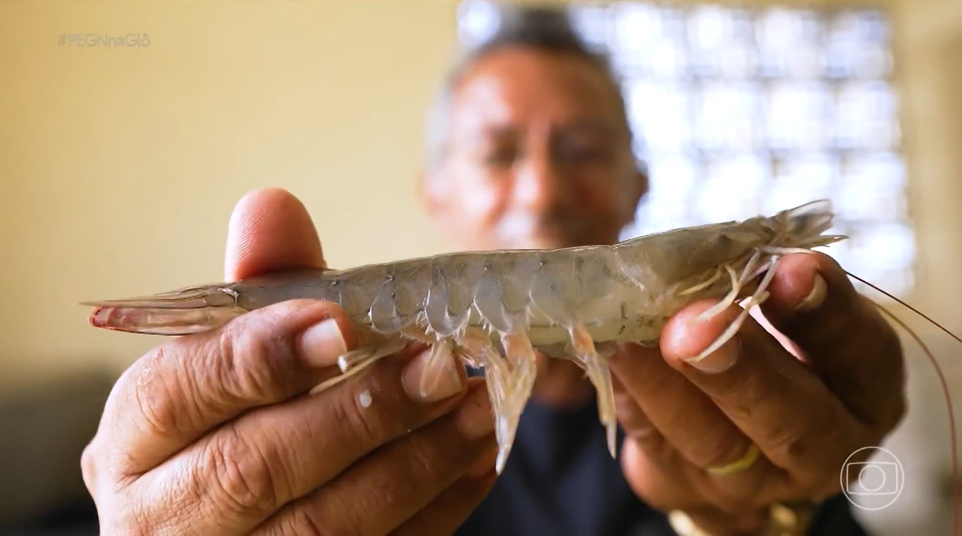 Do laboratório ao viveiro: como uma tecnologia criada no RN fez produtores de...