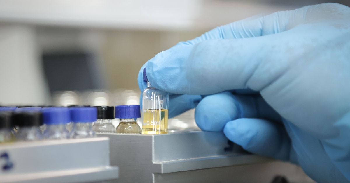 Dono de adega que teria vendido gin com metanol à venezuelana é preso em SP