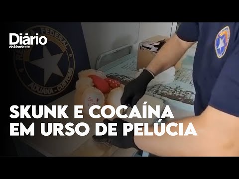 Droga na mala de um urso de pelúcia: Receita Federal apreende 1 kg de skunk e 132 papelotes de cocaína no Aeroporto de Fortaleza