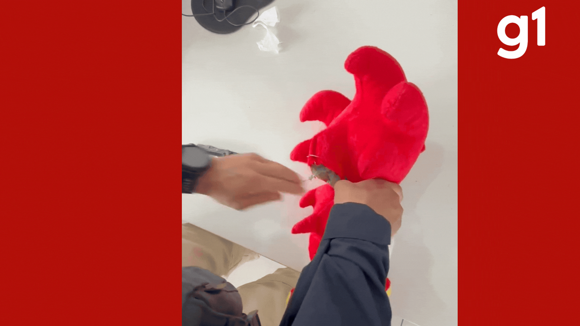 Ecstasy em Pelúcia: Adolescente é Apreendido com 656 Comprimidos em Mato Grosso