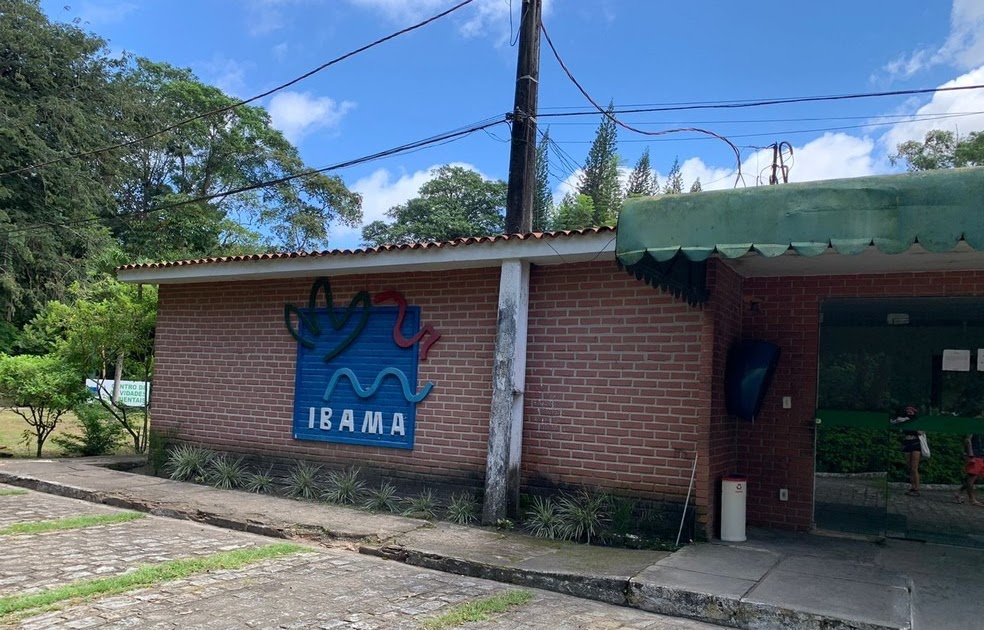 Educação Ambiental Gratuita: Ibama lança cursos online em parceria com o MMA