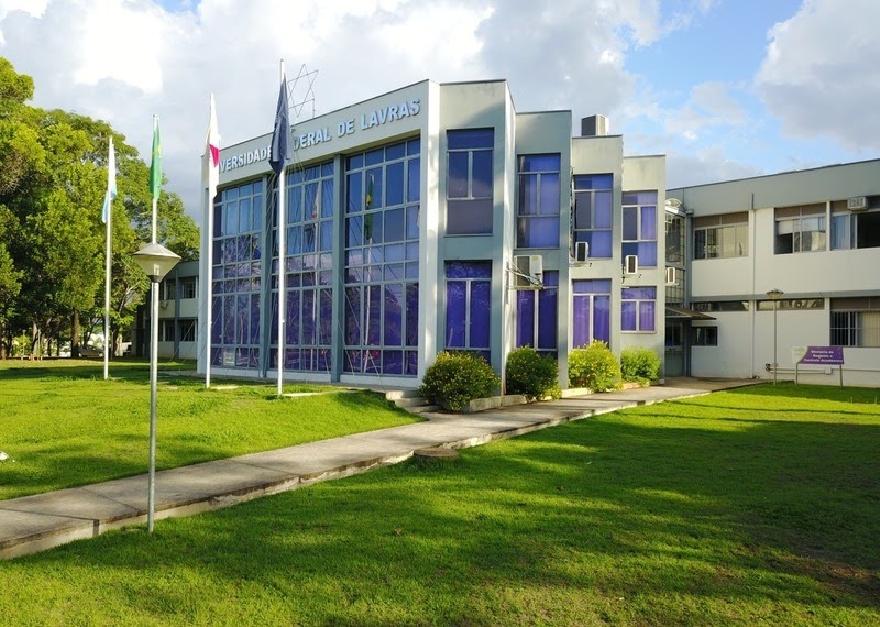 Educação Antirracista: UFLA Oferece 400 Vagas em Curso Gratuíto 100% Online com Certificado