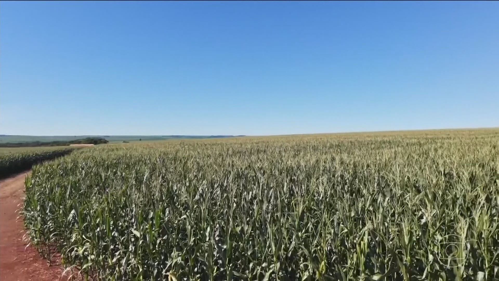 El Niño: O Fenômeno Climático que Está Mudando a Produção no Campo