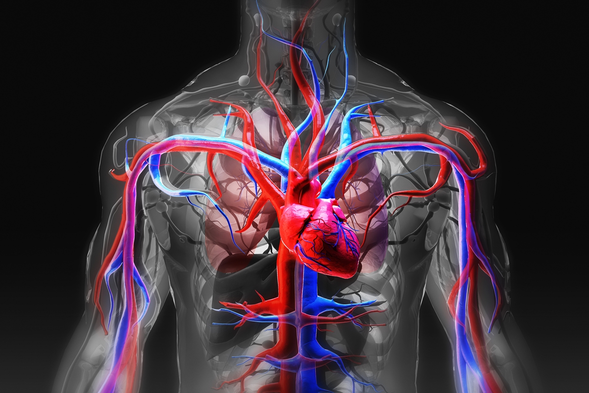 Especialista em AVC aponta 6 alimentos que beneficiam a saúde vascular