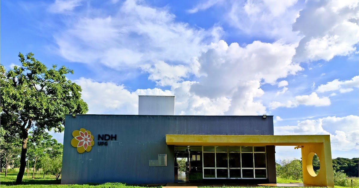Especialização em Direitos Humanos e Diversidades Gratuita: Transforme Sua Sala de Aula