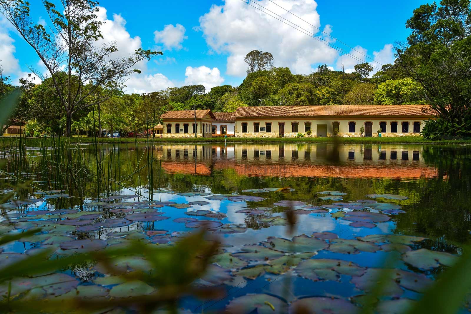 Férias em João Pessoa: confira opções pra curtir com as crianças