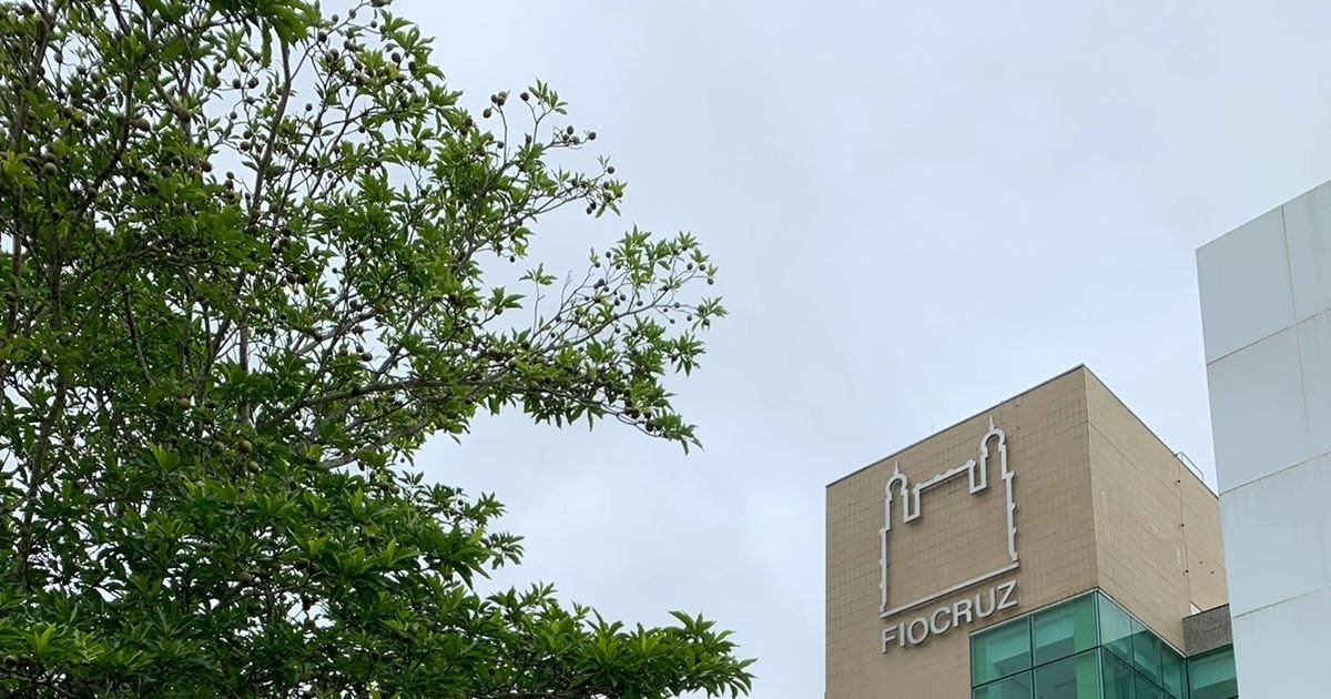 Fiocruz + Ministério da Saúde: 2 Mil Vagas em Curso de Fitoterapia Clínica para Profissionais de Saúde no SUS