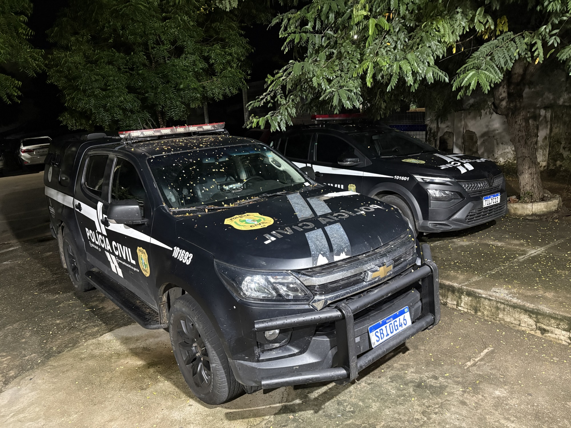 Furto de Animal em Crateús: Novilhote Roubado em Palha Amarela