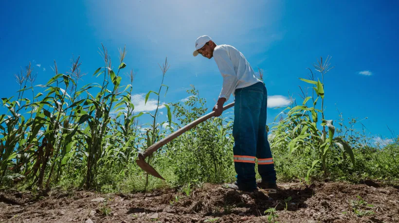 Garantia-Safra: Prazo de Pagamento Prorrogado até 27 de Fevereiro em Santa Quitéria
